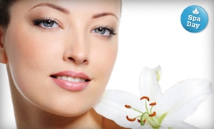 Spa Day: 55% Off Face & Skin Rejuvenation Services