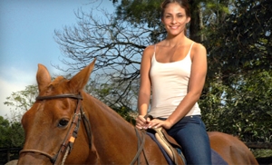 Up to 64% Off Horseback Trail Ride in Henderson