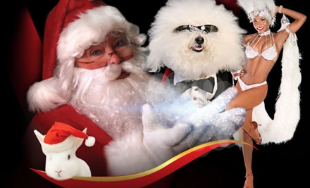 Up to 69% Off Tickets to "Santa's Magical Circus"