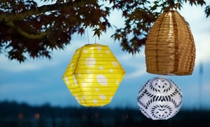 $20 for Solar Lanterns or String Lights