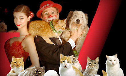 Up to 55% Off One Ticket to Animal Show